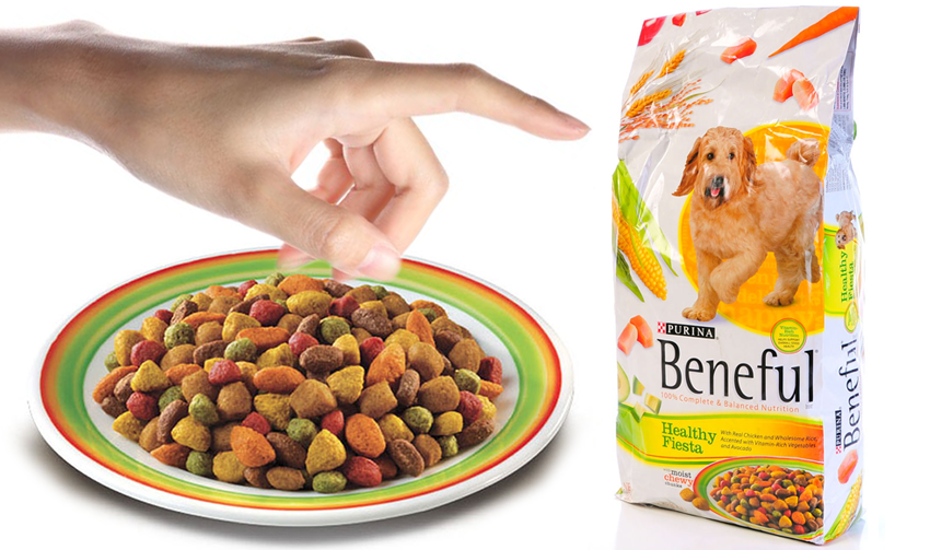 Beneful made dogs sick?