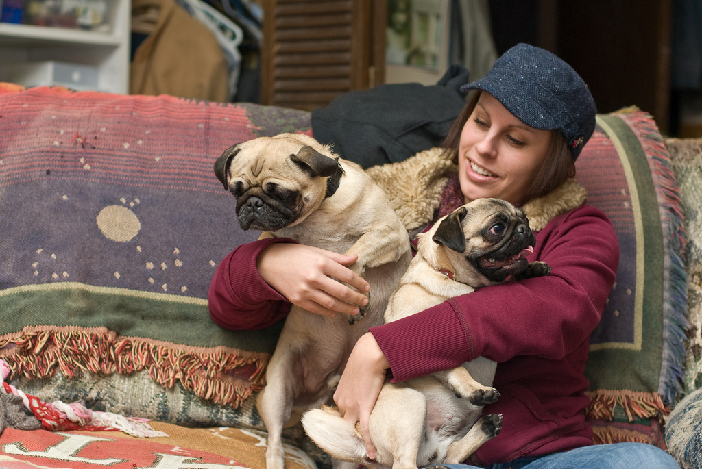 Topical Female Hormones Are A Threat To Pets