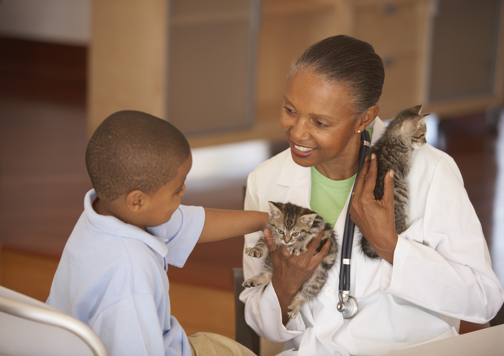 4 Reasons Veterinarians Are Possibly Better Than Doctors