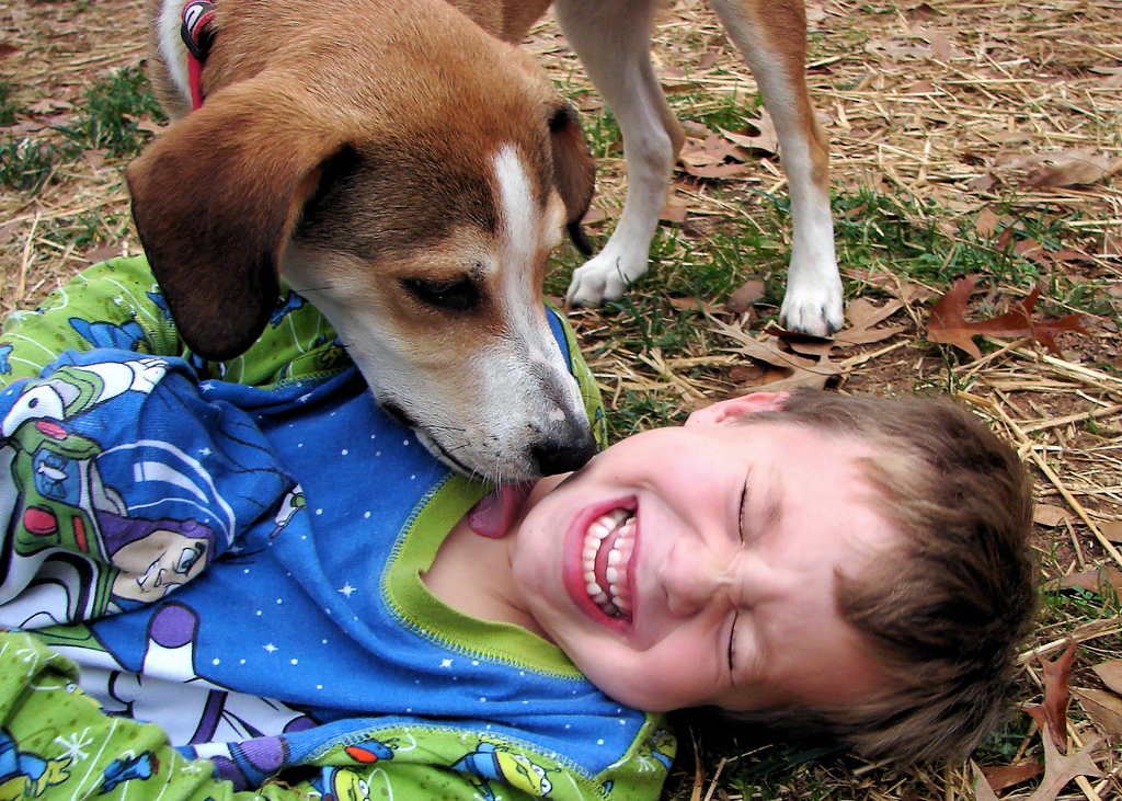 4 Possible Reasons Your Dog Always Licks Your Face