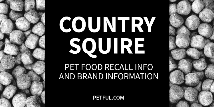 country squire recall image