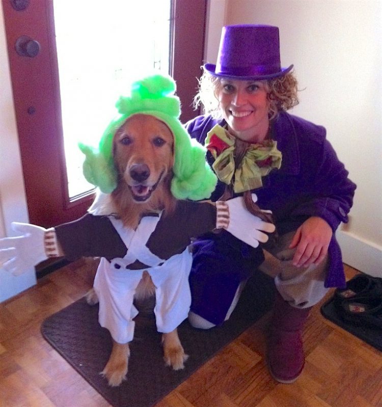 Oompa Loompa dog and willy wonka halloween costume