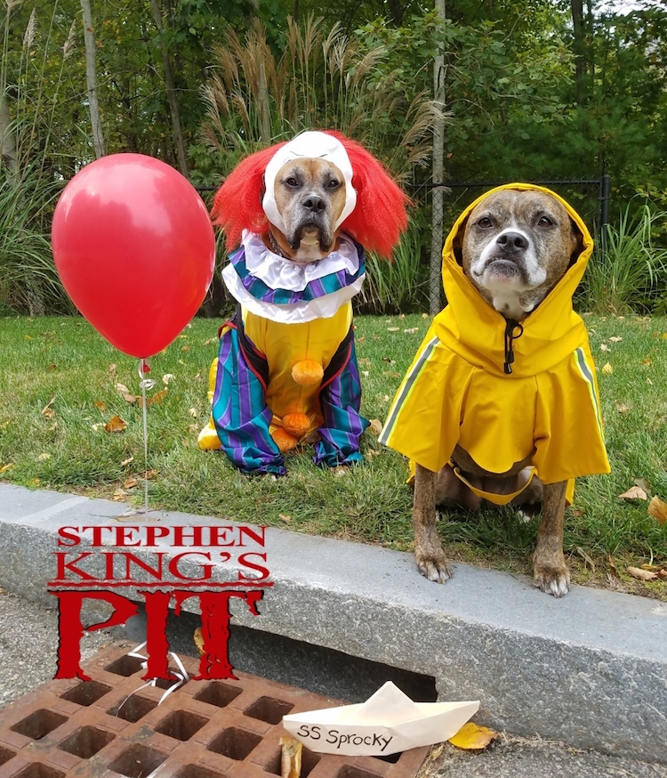 steven-kings-it-costume-dogs