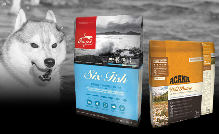 myndighed leder smække acana champion pet foods,Free delivery,timekshotel.com