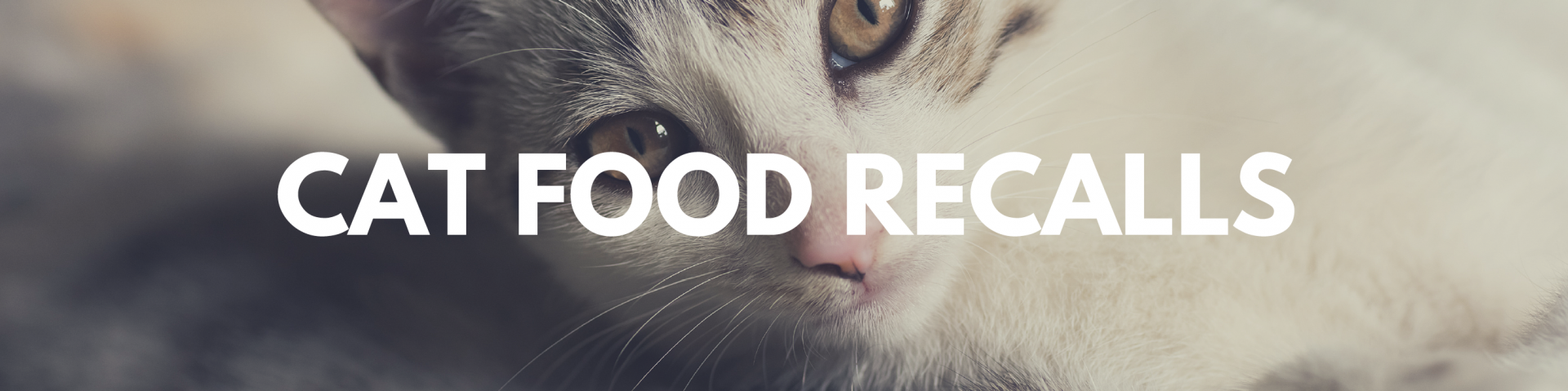 ⚠️ Cat Food Recalls 2020-2021: Is Your Brand on This List?
