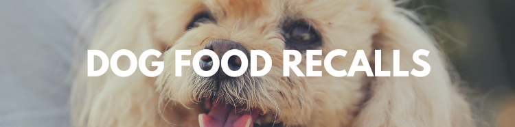 Dog Food Recalls: Is Your Brand on the List?