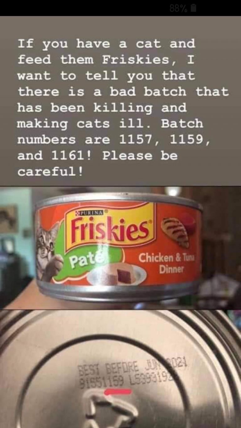 Friskies Cat Food Recall History (Fully Updated, Constantly Monitored)