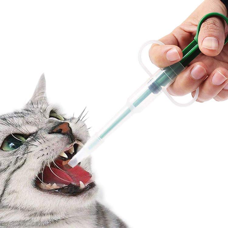 How to Give Medicine to a Cat (Yes, Even to a Difficult Cat) Petful
