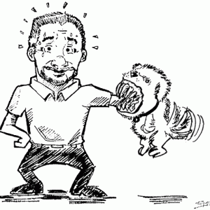 Cesar Millan attacked