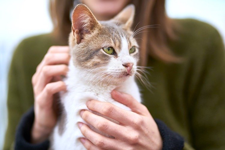 Can I give COVID-19 to my dog or cat?