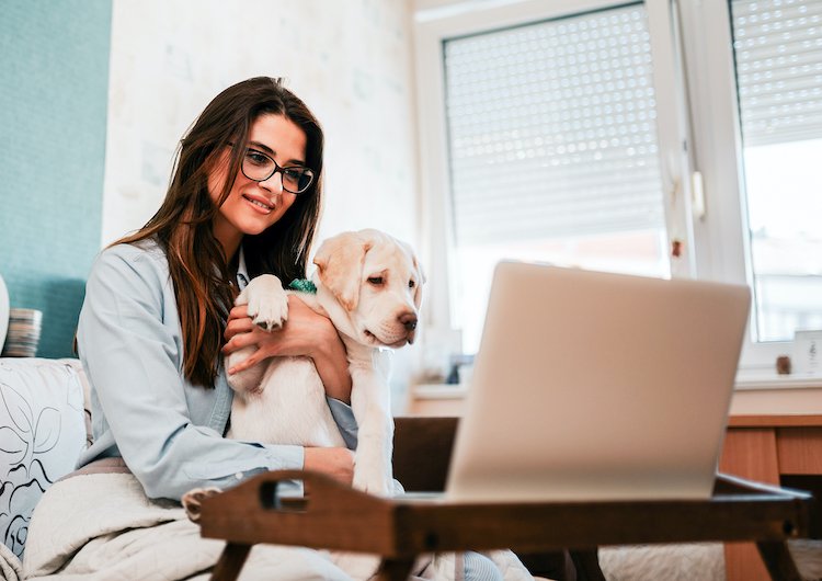 Veterinary telemedicine during COVID-19