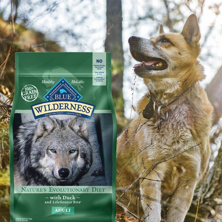 lead in blue buffalo dog food