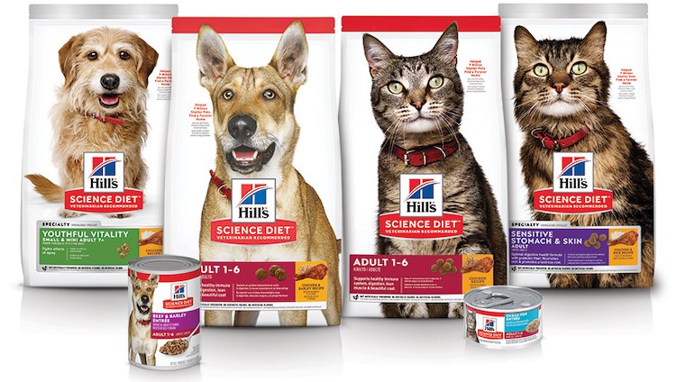 hill's science diet oral care cat food