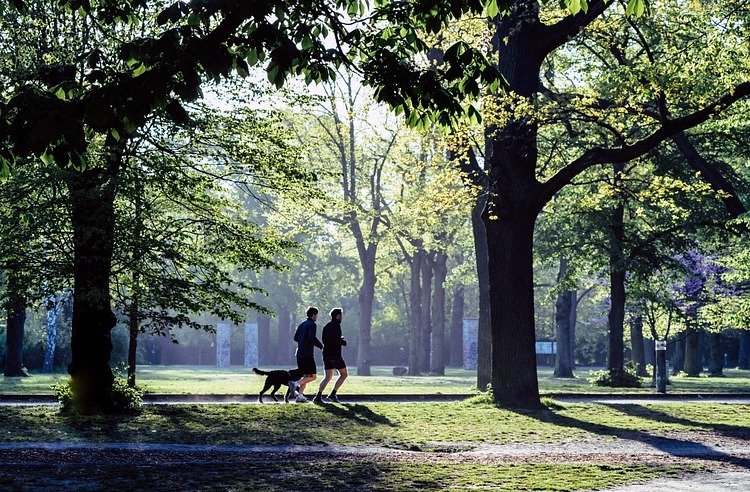 Photo of two people running in a park with a dog, shot from a distance