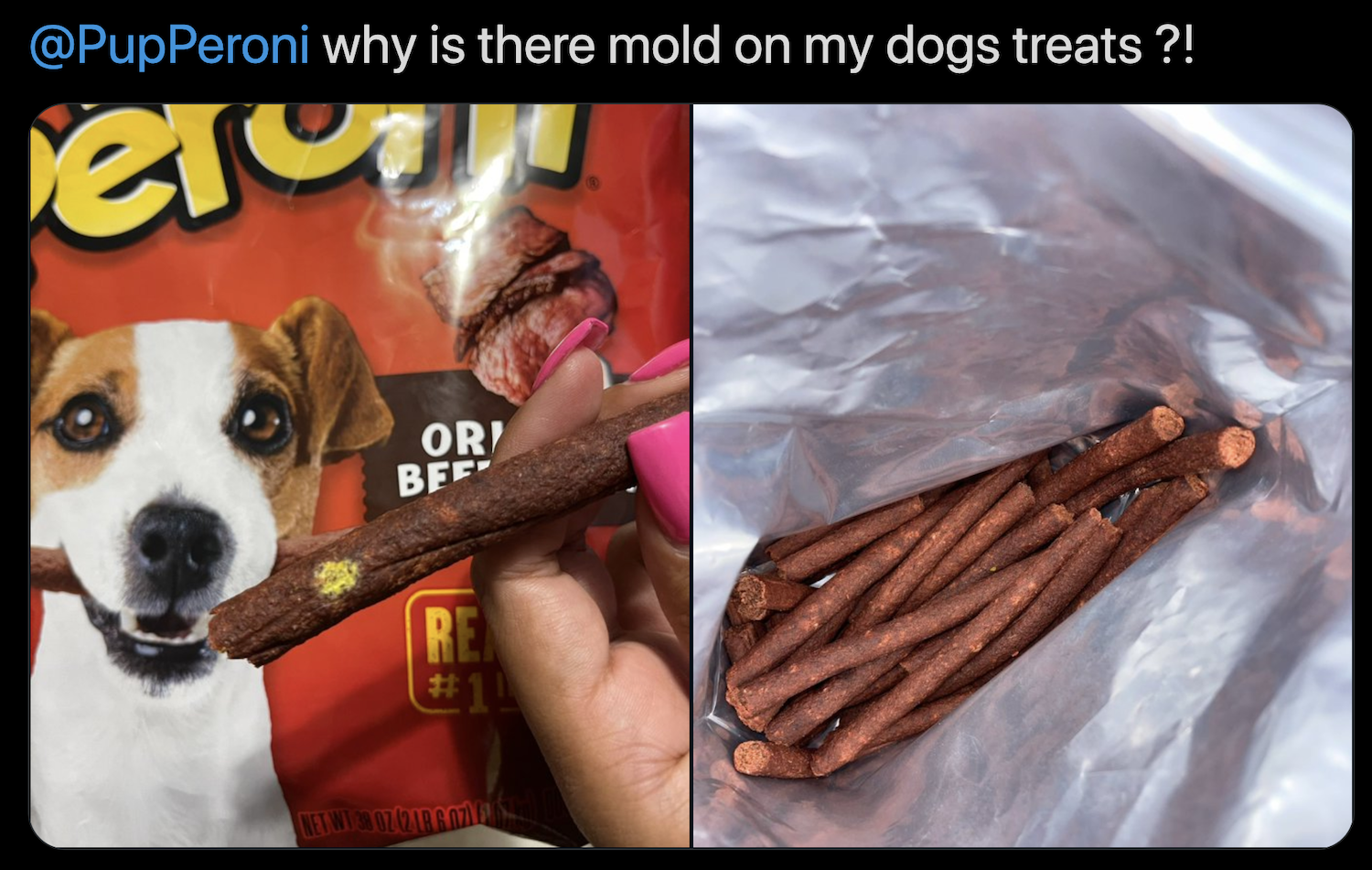 Photo from Twitter asking, Why is there mold on my dog's treats? Shows a package of Pup-Peroni in the background, and a woman's hand holding a moldy treat in front of it. It is next to a second photo of an open back of treats.