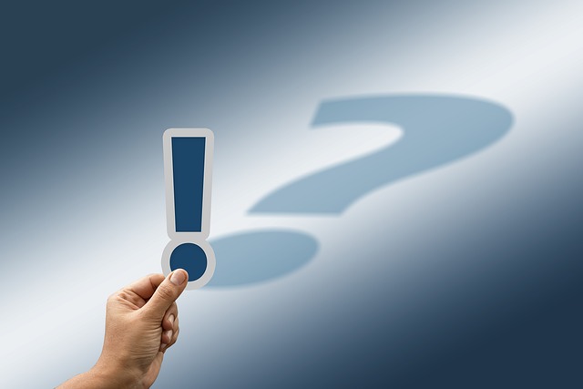 can dogs eat french fries