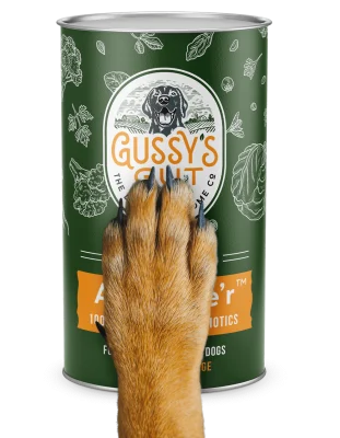 Image of Gussy Gut Canister Anti-Ager. Credit Gussy Gut
