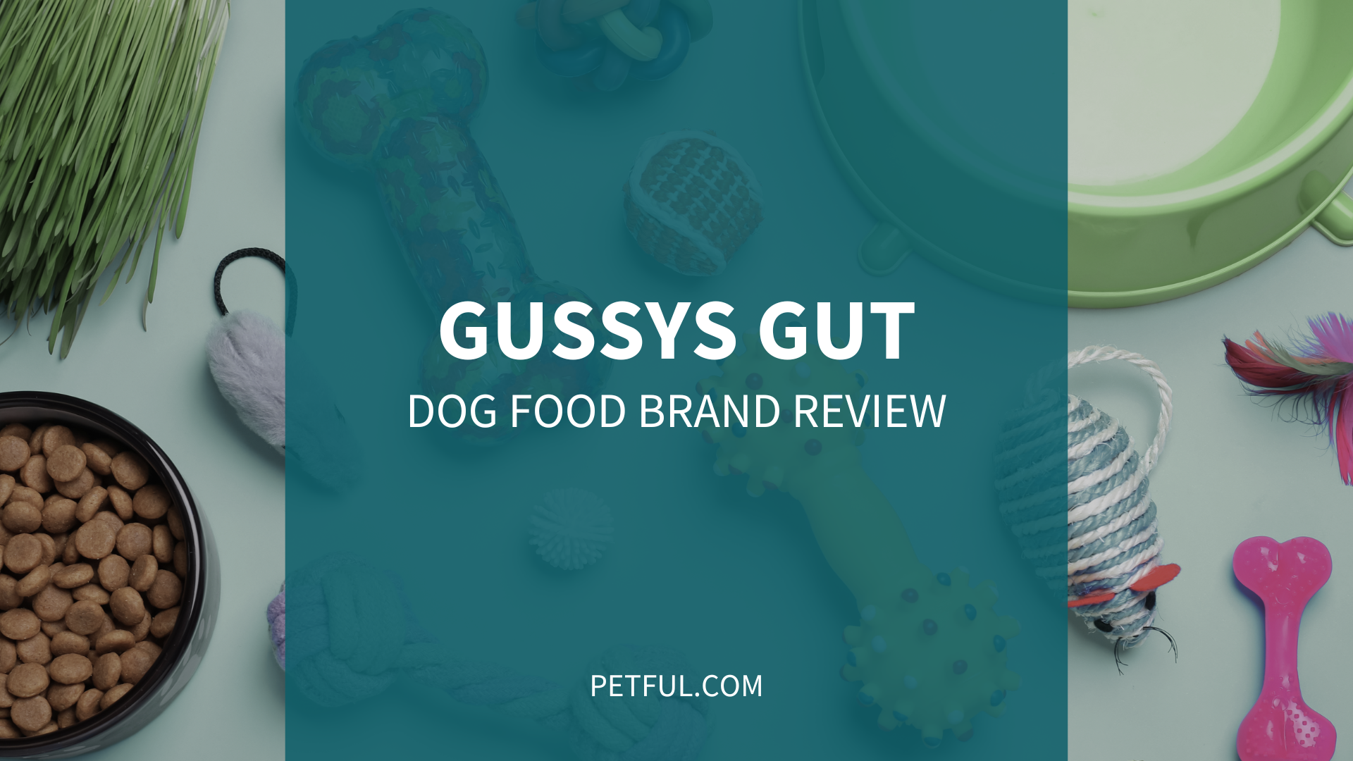 gussys gut dog food image