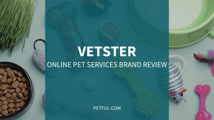 vetster online pet services image