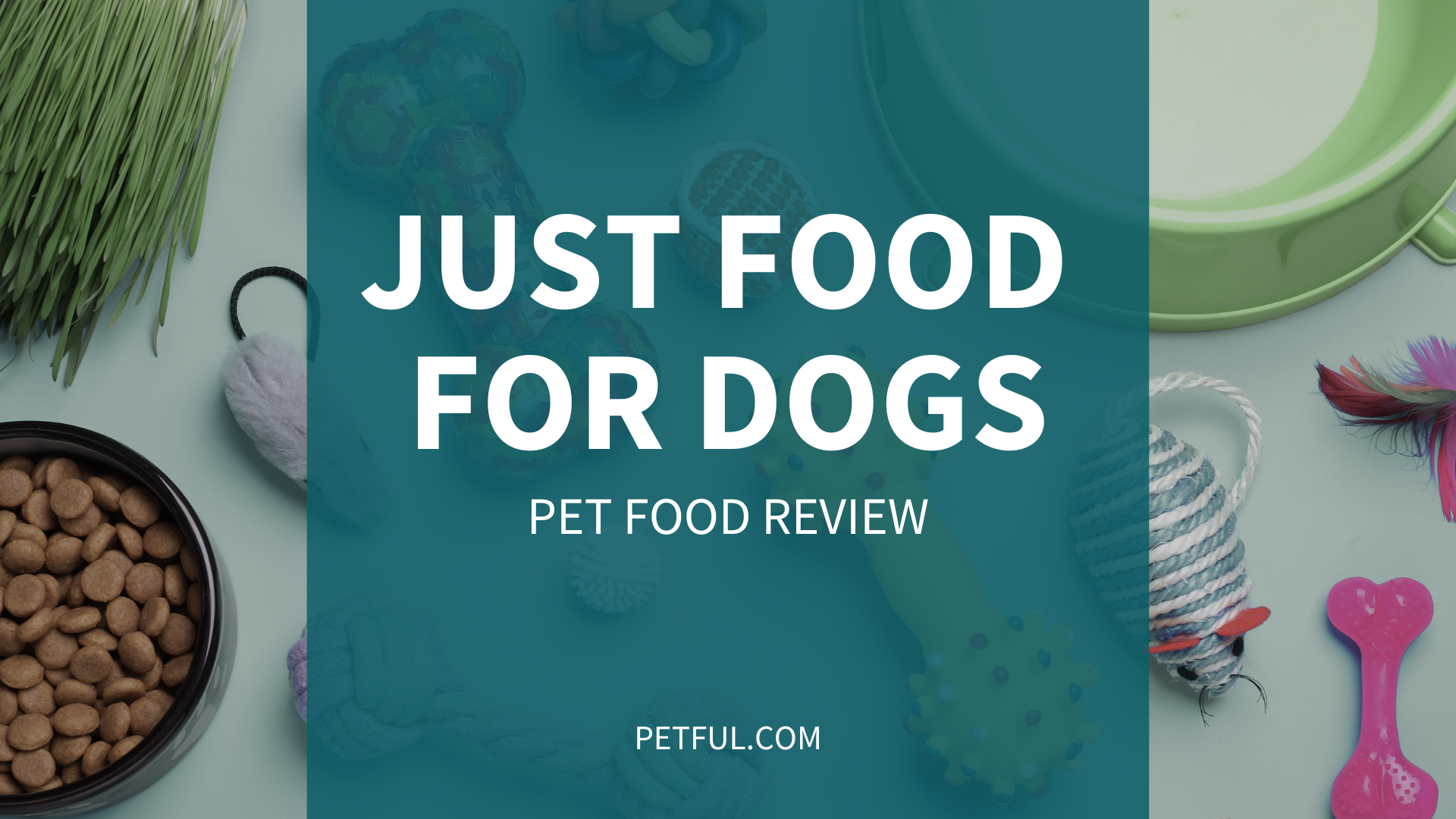 JustFoodForDogs Dog Food Review (Brand) - Complete Buyer’s Guide - Petful