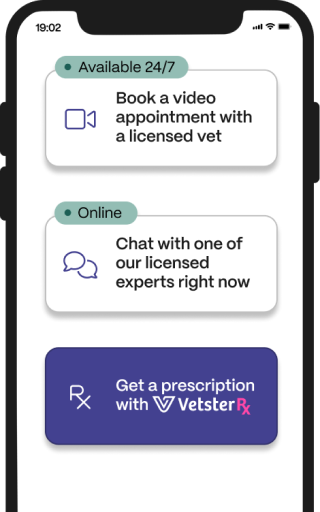 Image of Vetster Phone Dashboard Services. Credit: Vetster.