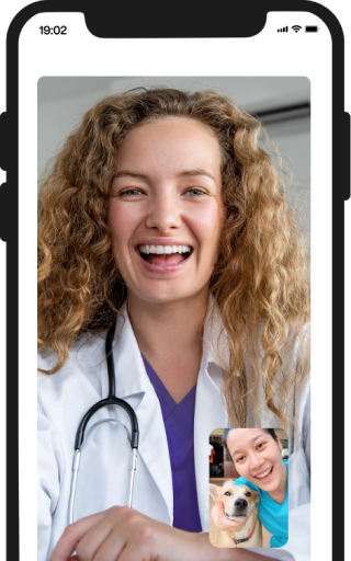 Image of Vetster Phone Video Veterinarian. Credit: Vetster.