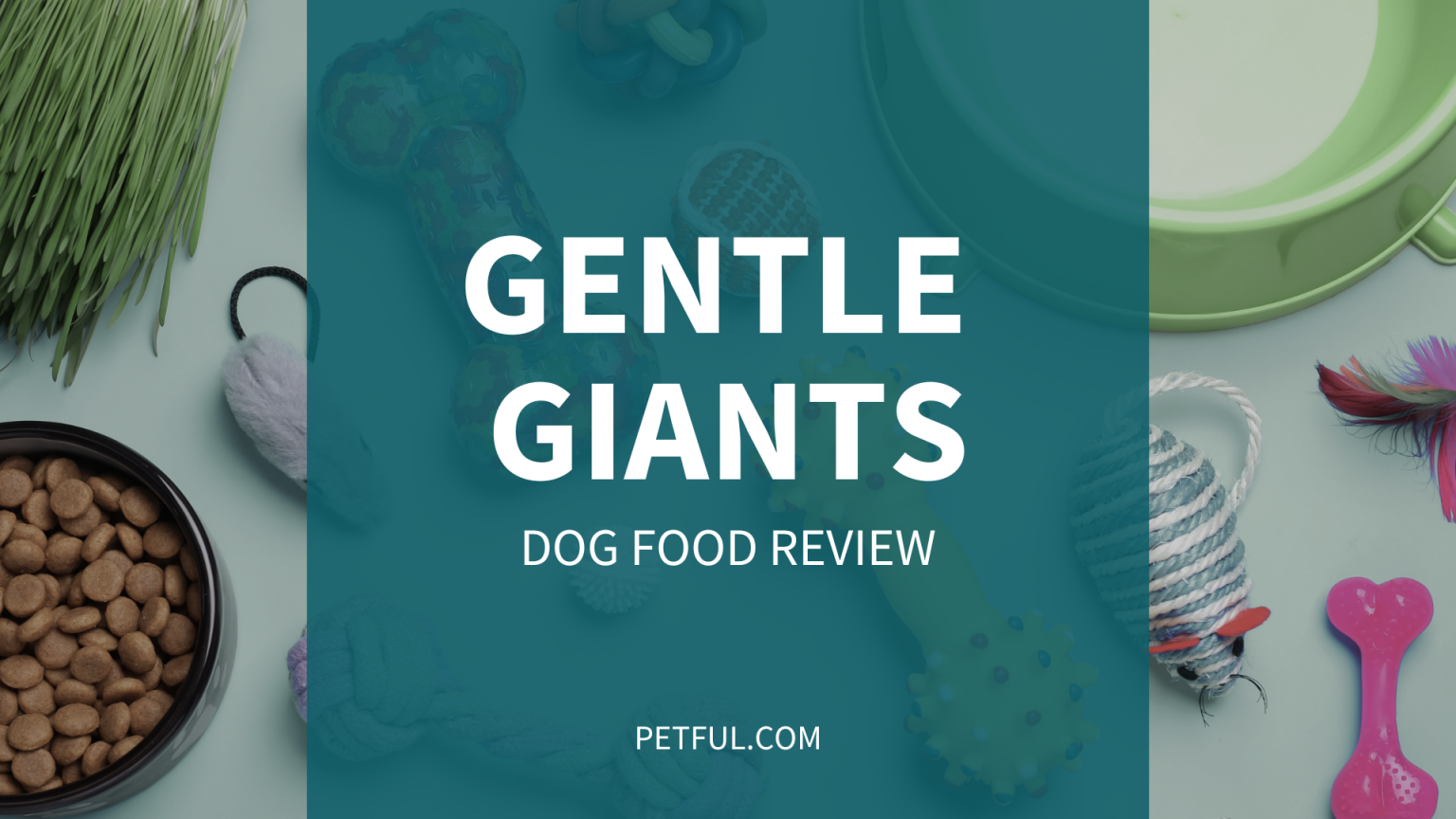 Gentle Giants Dog Food Review (Brand) Complete Buyer’s Guide Petful