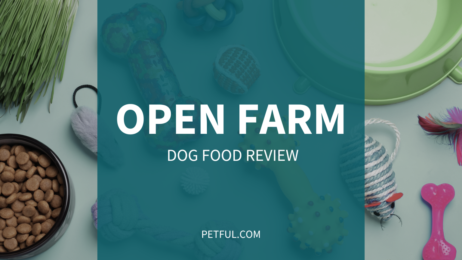 Open Farm Dog Food Review (Brand) Complete Buyer’s Guide Petful