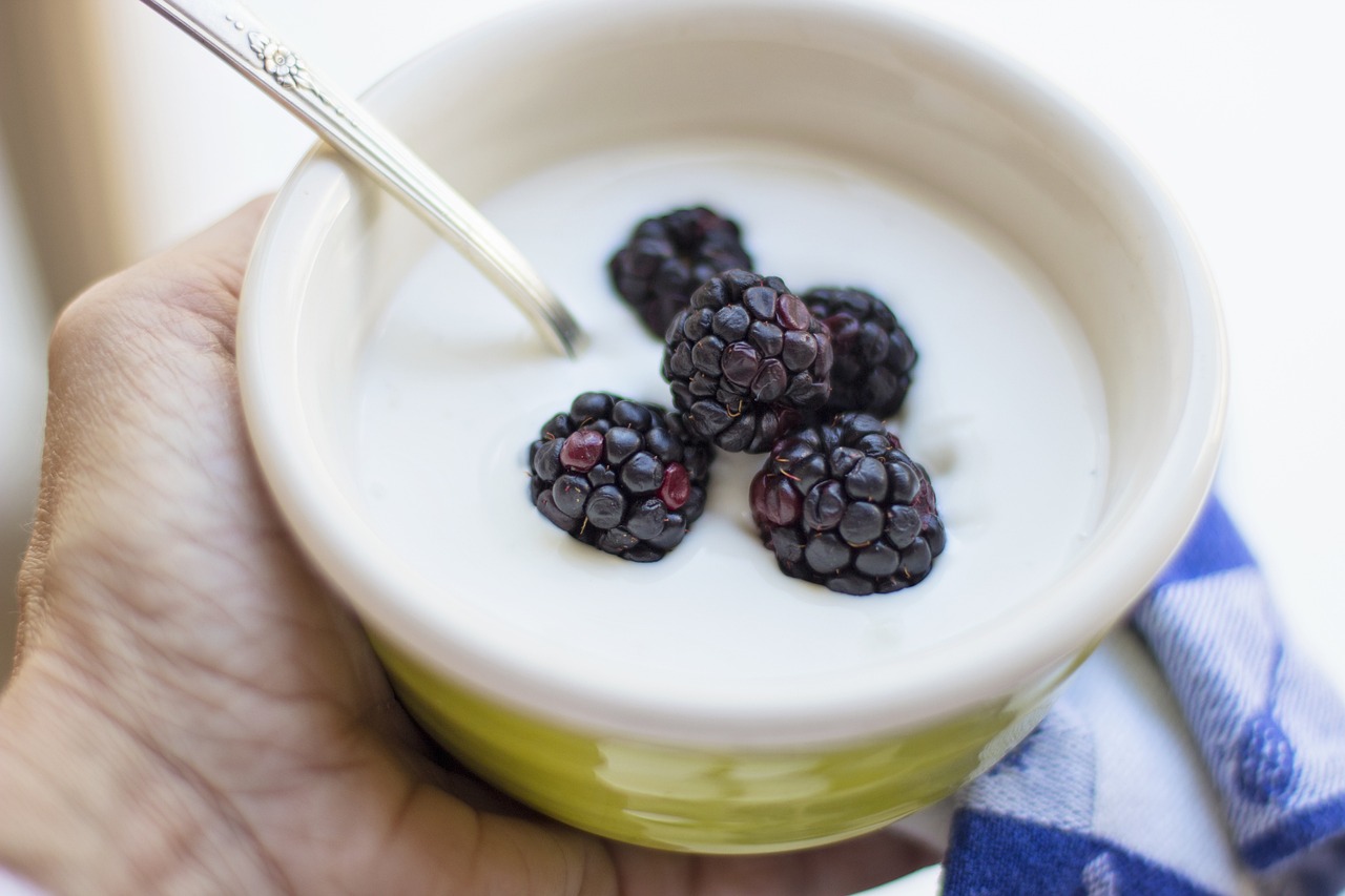 Image of Yogurt
