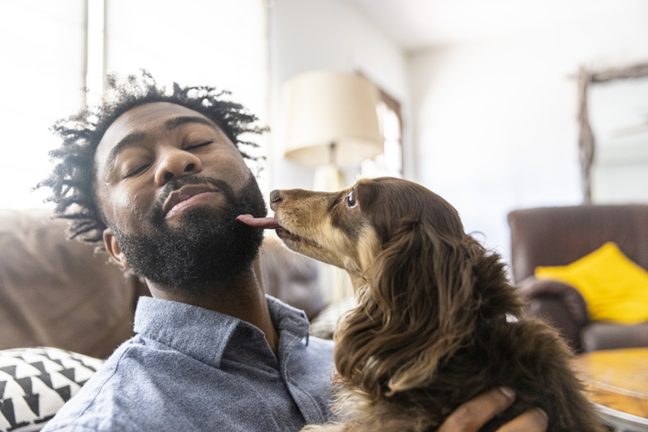 Learn how to stop a dog from licking you.