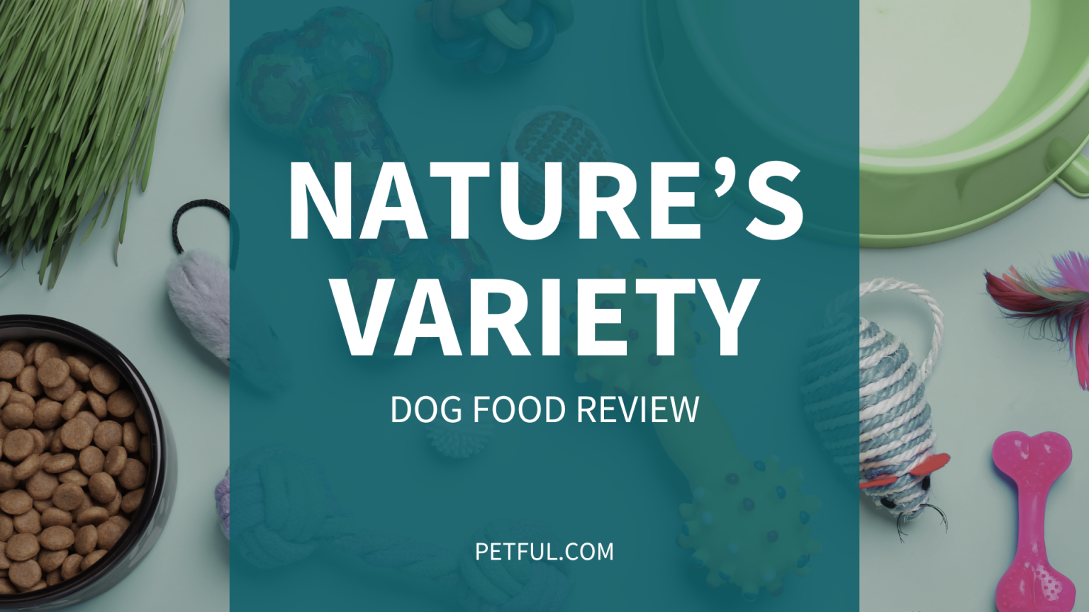 Nature's Variety Dog Food Review (Brand) Complete Buyer’s Guide Petful