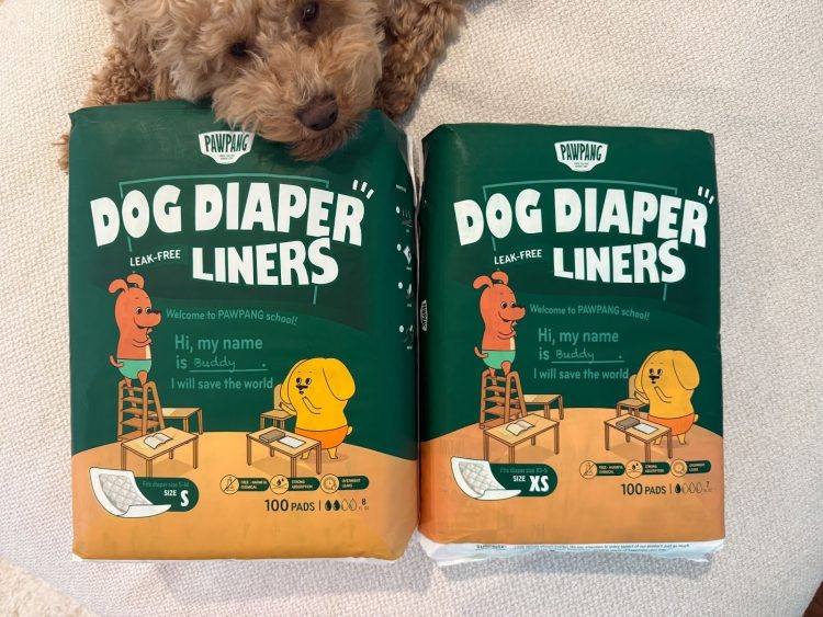 PAWPANG dog diaper liner review on a cute poodle