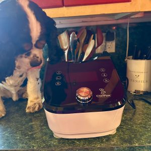 Cocker Spaniel curiously inspecting the ChefPaw Fresh Dog Food Maker on a kitchen counter.
