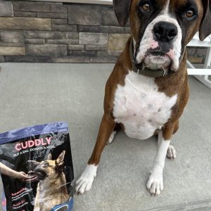Boxer dog sitting beside CUDDLY Salmon & Rice Dog Kibble, supporting shelter dog donations.
