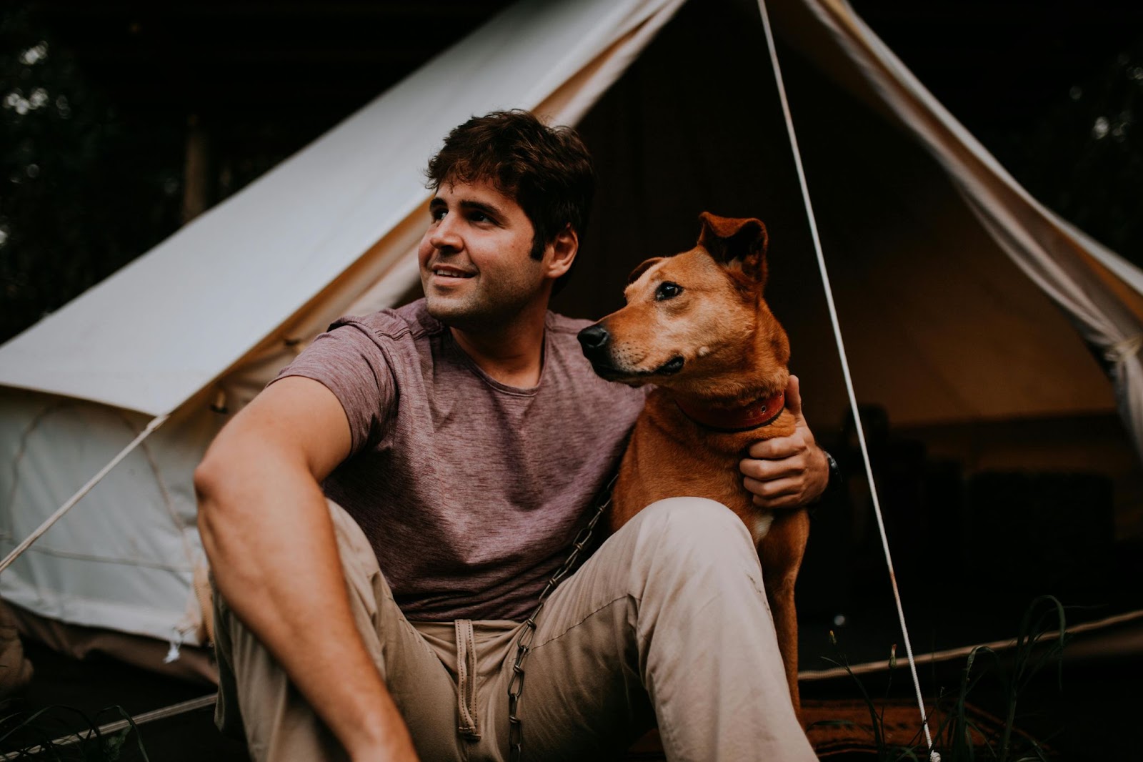 Man camping with his dog outside a tent, highlighting the need for a secure camping dog fence.