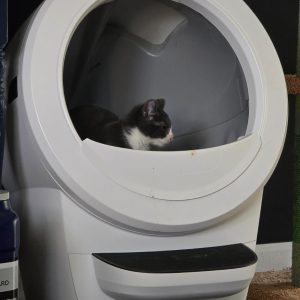 whisker litter