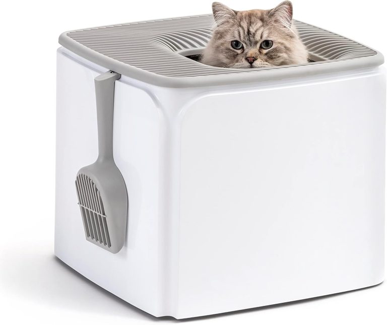 A cat peers out of an IRIS USA top-entry litter box with a scoop.