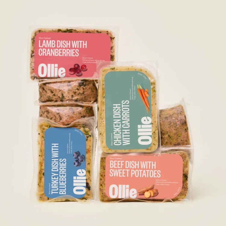 Ollie dog food review