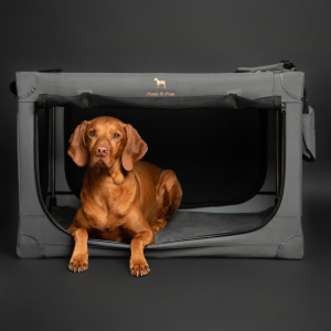Dog relaxing inside a collapsible gray crate on a dark background.