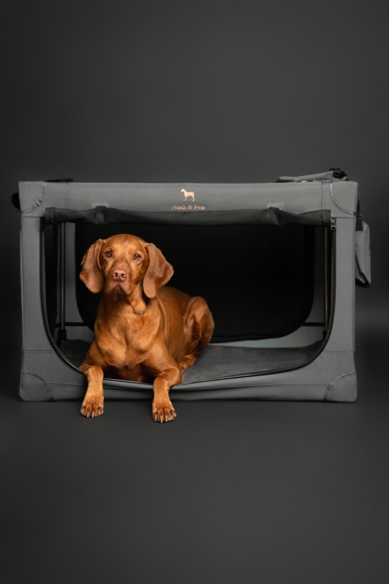 Dog relaxing inside a collapsible gray crate on a dark background.