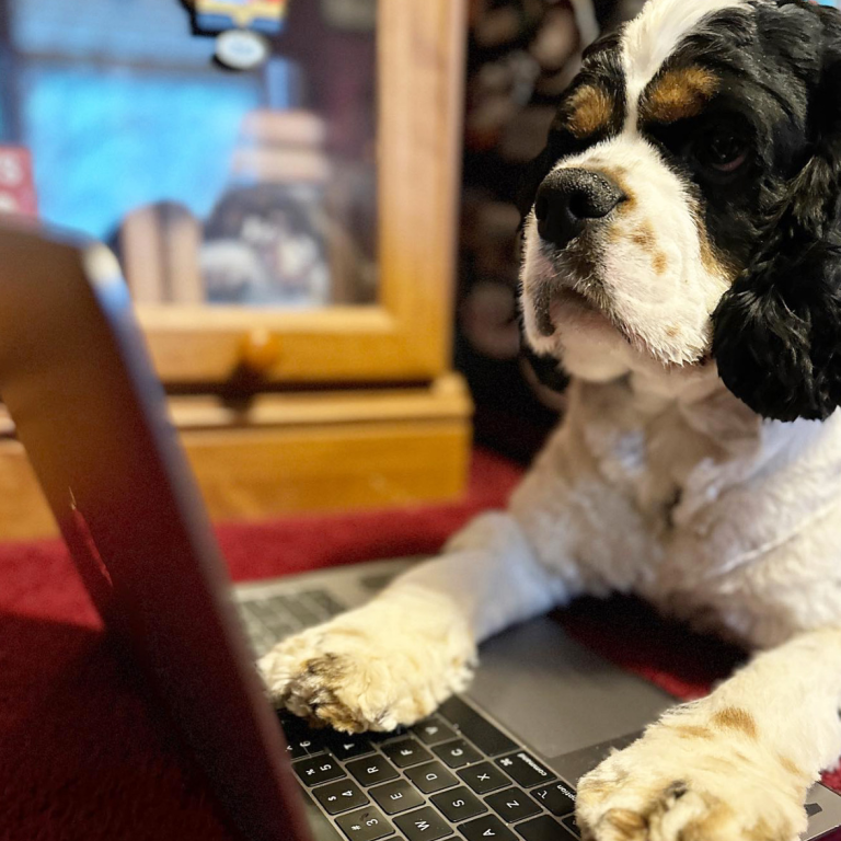 Sir Alvin logging onto Pumpkin Wellness Club’s website
