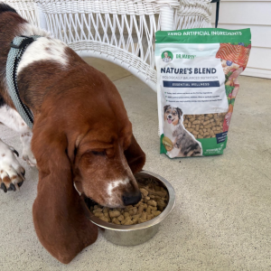 Dog enjoying Dr. Marty Pets Nature’s Blend freeze-dried raw food during mealtime.