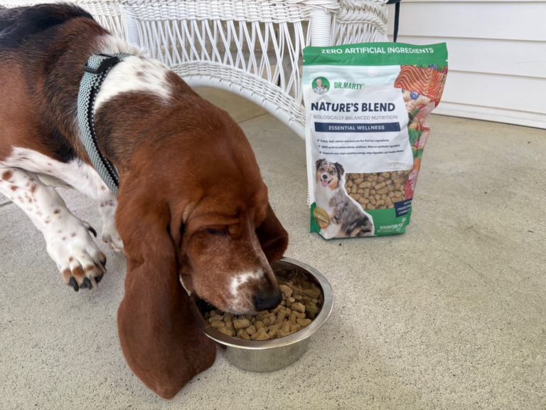 Dog enjoying Dr. Marty Pets Nature’s Blend freeze-dried raw food during mealtime.