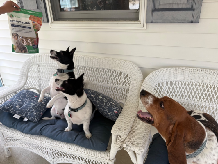 Dogs eagerly waiting for Dr. Marty Pets Nature’s Blend freeze-dried raw food.
