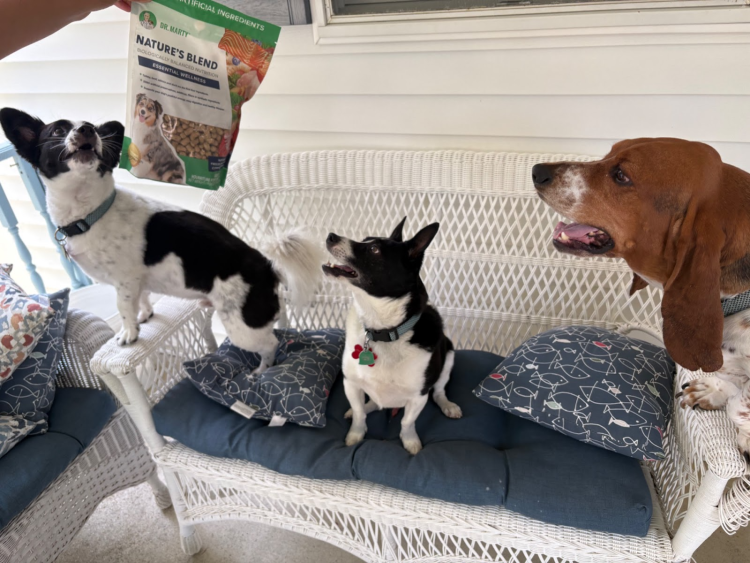 Dogs excitedly reacting to Dr. Marty Pets Nature’s Blend freeze-dried raw dog food bag.