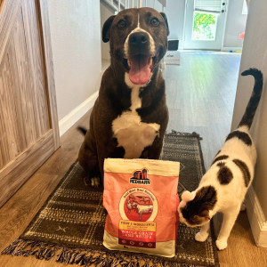 A brown and white dog and a white cat with brown spots behind a bag of Redbarn Whole Grain Land Recipe kibble.
