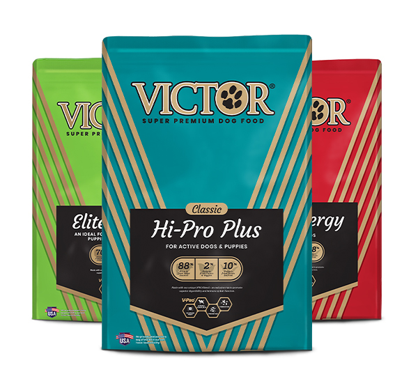 victor dog food review