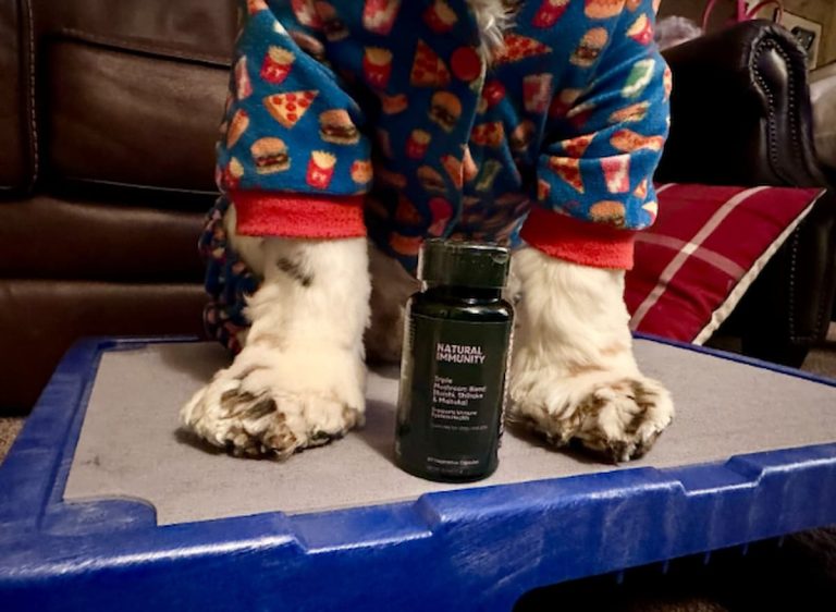 Rooted Owl Natural Immunity supplement