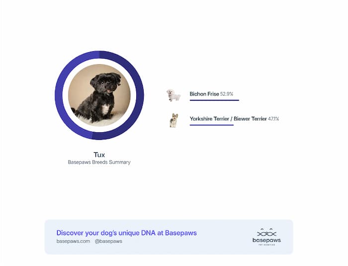 Basepaws results from dog dna test