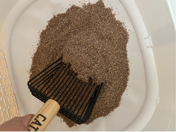 Catalyst litter scooping
